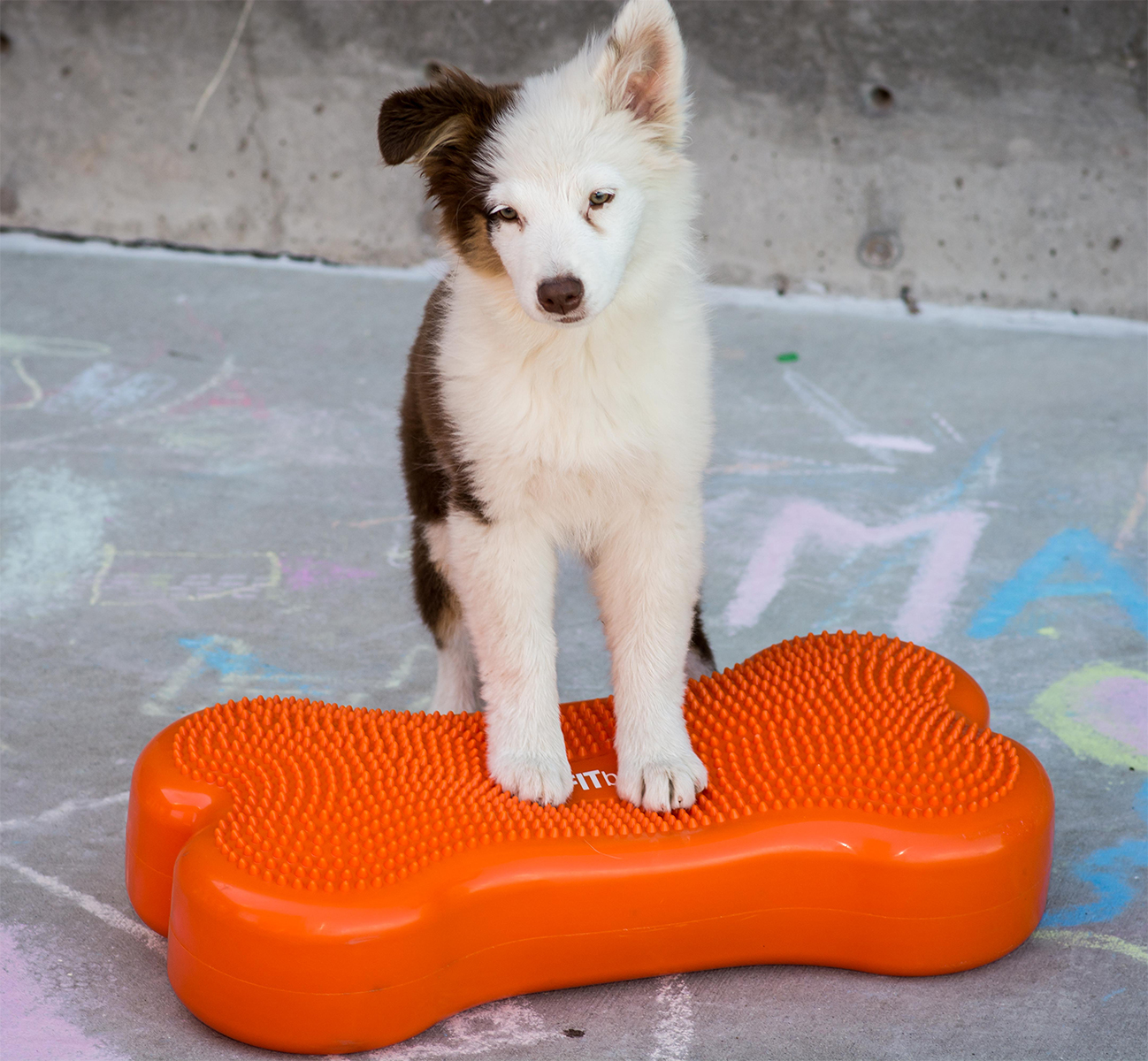 K9FITbone -58 x 29 x 10 cm, Groen